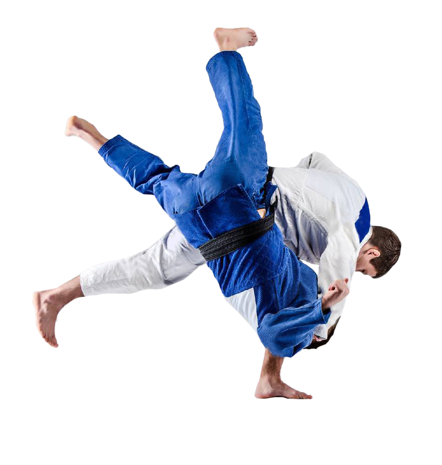 Planeta Judo